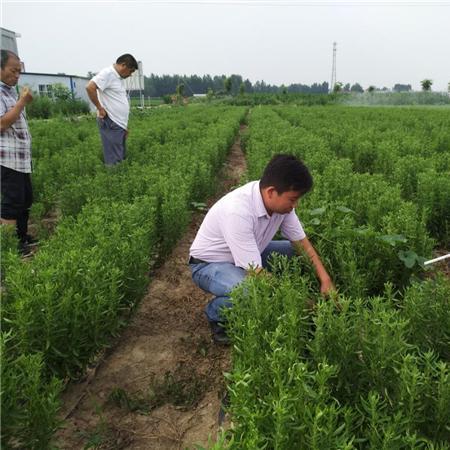 什么原因不能致富？探究贫穷背后的多重因素