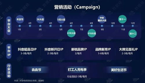抖音招商加盟设置全攻略，一步步教你如何操作，还有实用案例助你理解