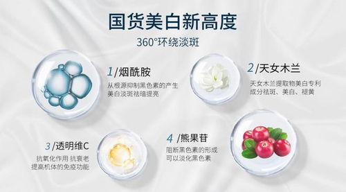 探索化妆品界的佼佼者，全球知名品牌大比拼