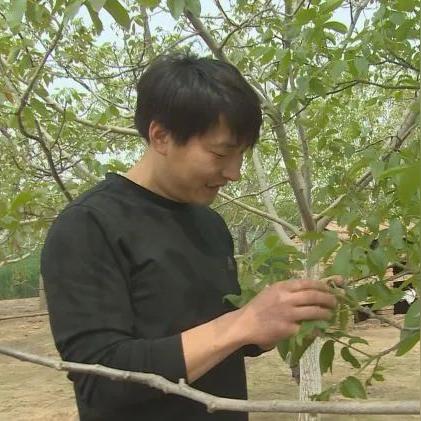 什么门路致富有钱？探索现代社会的财富增长路径