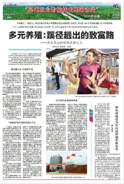 干什么都能致富，多元路径下的成功之道