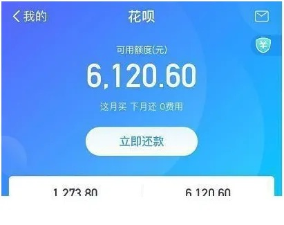 揭秘观澜花呗套现，揭秘花呗套现背后的秘密与风险