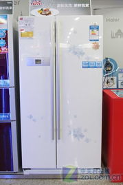 家电千元推荐冰箱品牌