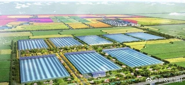 80亩地做什么项目赚钱多？看这几个案例你就明白了