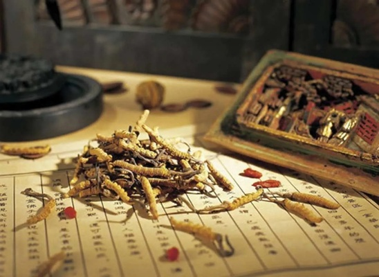 中医药品牌旅游—古老智慧的现代体验