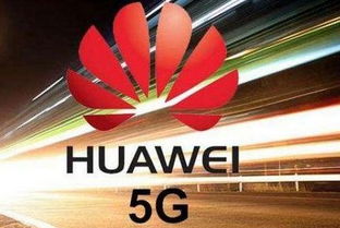 母婴中国品牌崛起之路