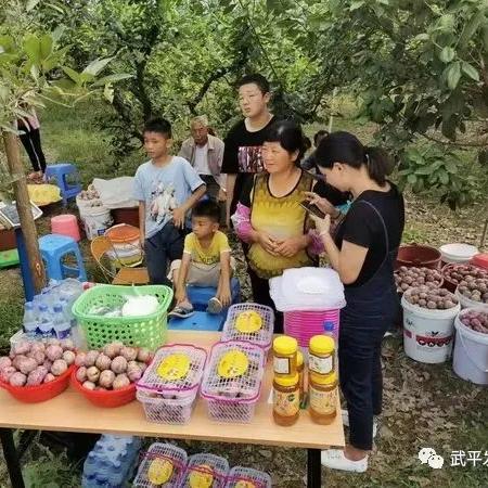 古田羊小咩享花卡套出来，带你领略田园生活的魅力！