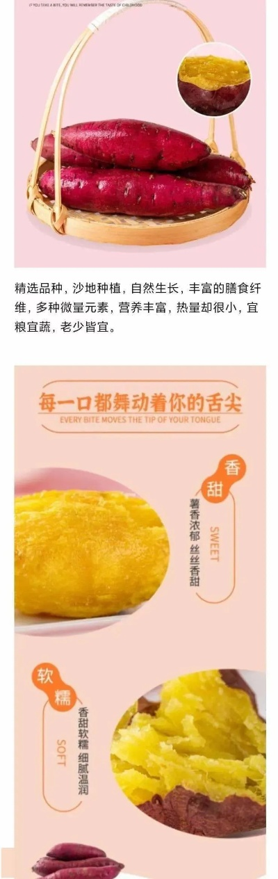 什么地方有致富薯？跟我来看看这些热门薯地！