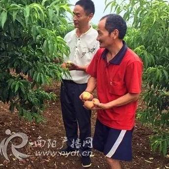 农村种点什么能致富？深度解析种植业的机遇与挑战