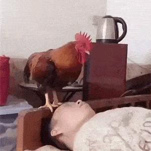 如何查看我老婆删除的微信聊天记录（慎用，请以信任为基础）