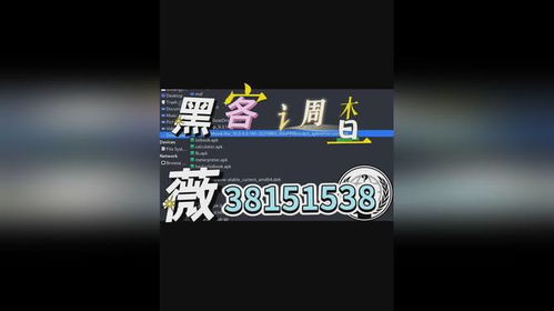 揭秘24小时在线接单黑客联系方式，风险警示与案例分析