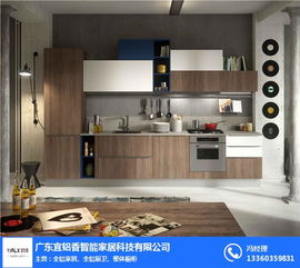 浙江橱柜整体家居品牌概览