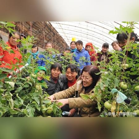 养什么能不能致富？深度解析养殖业商机与风险