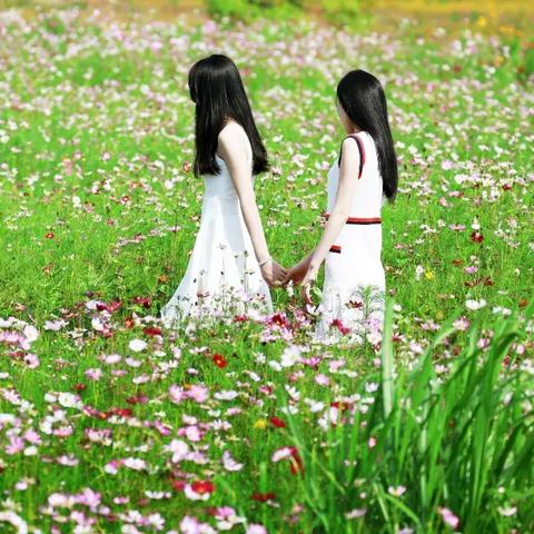 白云区抖音月付办理全攻略，地点、流程、避坑指南