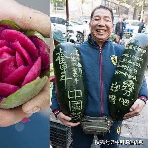 老杨的生意之道，探索他的成功秘诀与赚钱智慧