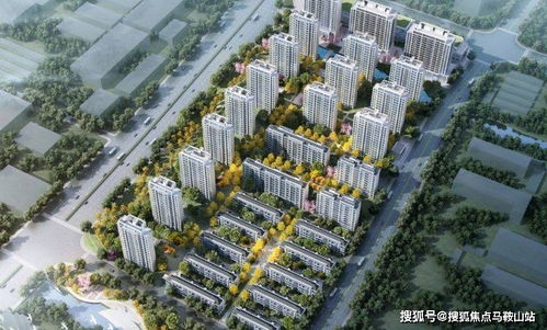 户外创业项目简介及案例分析