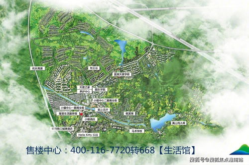 户外创业项目简介及案例分析