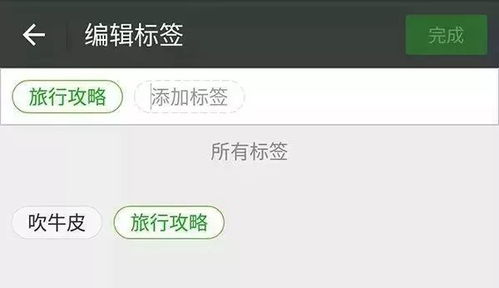 轻松掌握微信聊天记录，这些方法让你一目了然！