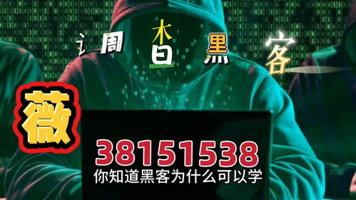 揭秘黑客24小时在线接单提现追回背后的真相与风险