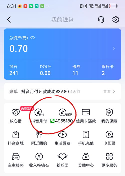 抖音月付提现码轻松获取攻略，让你轻松变现！