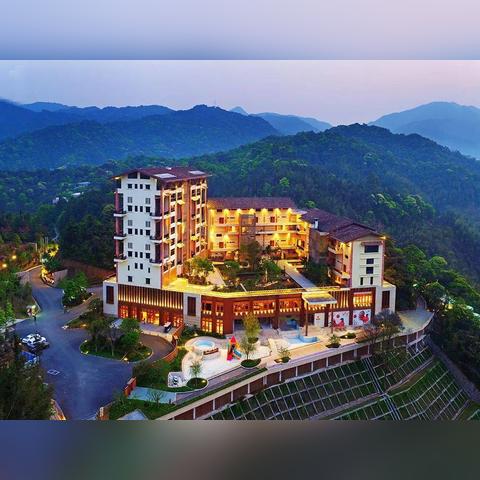 怎么查酒店的入住记录？