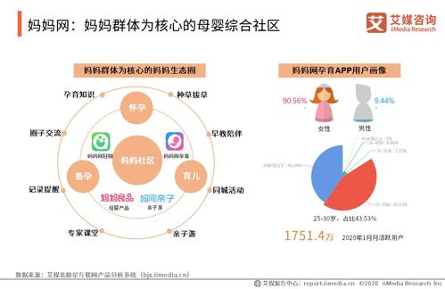 合肥母婴品牌市场分析与案例解读
