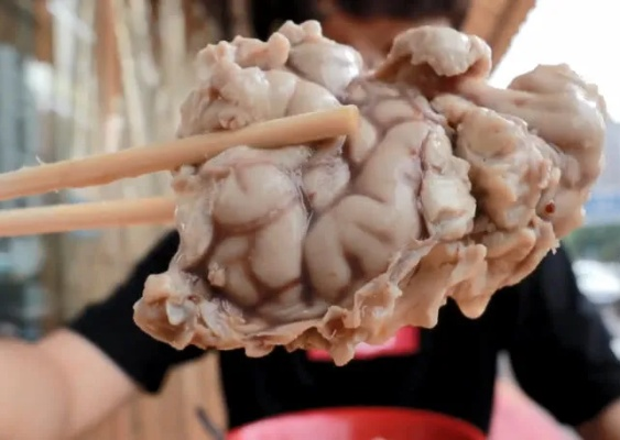 正宗大羊脑加盟指南，一步步开启创业之路