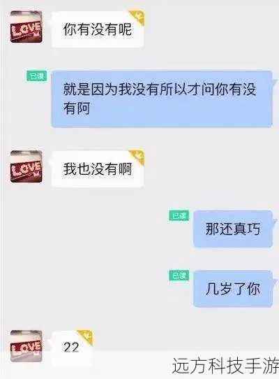 揭秘陌陌聊天记录查询，方法、技巧与注意事项