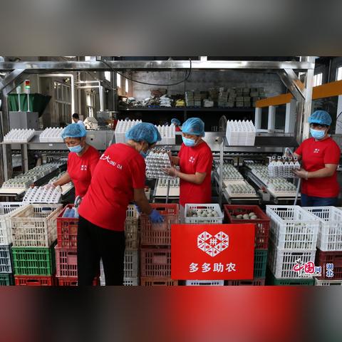 湖北餐饮品牌孵化服务概览