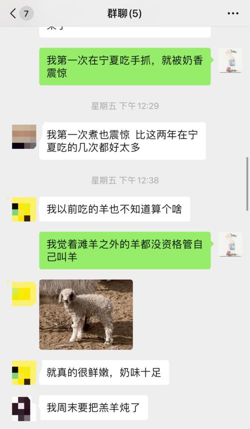 羊小咩便荔卡提额后的提现攻略，轻松操作，资金到账不是梦！