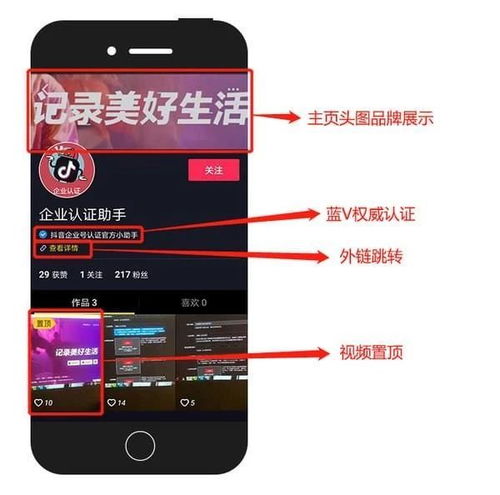揭秘抖音月付提现码，这是什么鬼？怎么用？