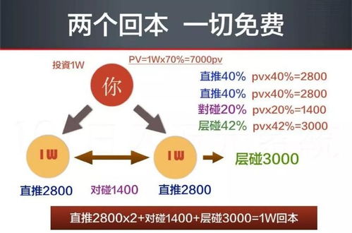 公司可能做什么生意赚钱？看这些成功案例与趋势分析