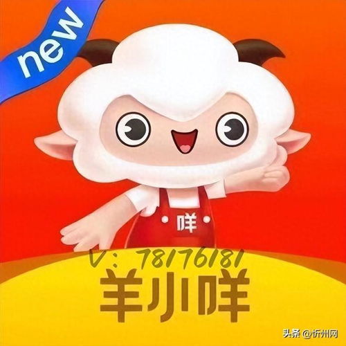 羊小咩享花卡提现最新信息详解，操作指南、注意事项与案例分析