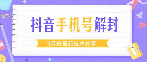 揭秘便利店套现抖音月付，揭秘操作流程与风险！