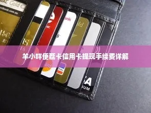 羊小咩便荔卡提额攻略，揭秘提现次数与操作技巧