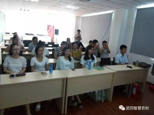 新型线下创业培训班全解析，内容、形式与成功案例