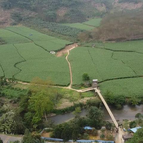 农场老板的新思路，探索多元化行业赚钱之道