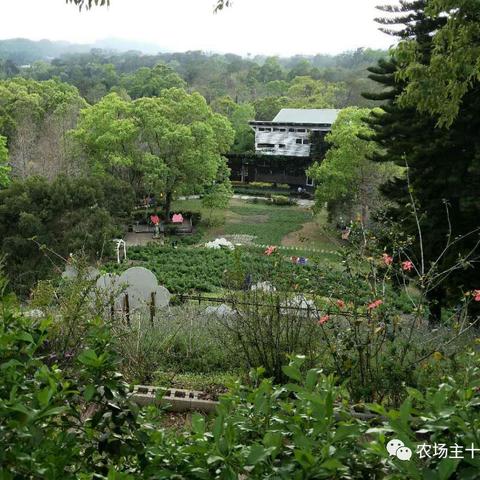 农场老板的新思路，探索多元化行业赚钱之道