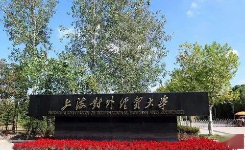 男生去上海做什么赚钱多？全面解读与实例分析