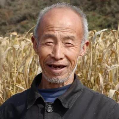 微店放心花套出来找哪里解决？一文全明白