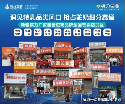 驼奶粉加盟方案撰写指南，如何打造吸引人的加盟蓝图？