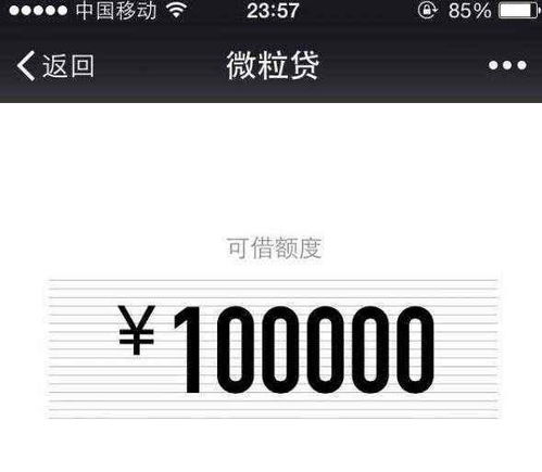 借呗和白条哪个能提现深度解析