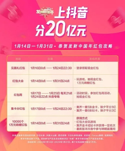 揭秘抖音月付提现码，24小时轻松到账攻略！