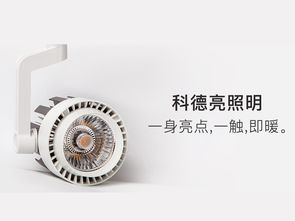 探照灯品牌选择指南