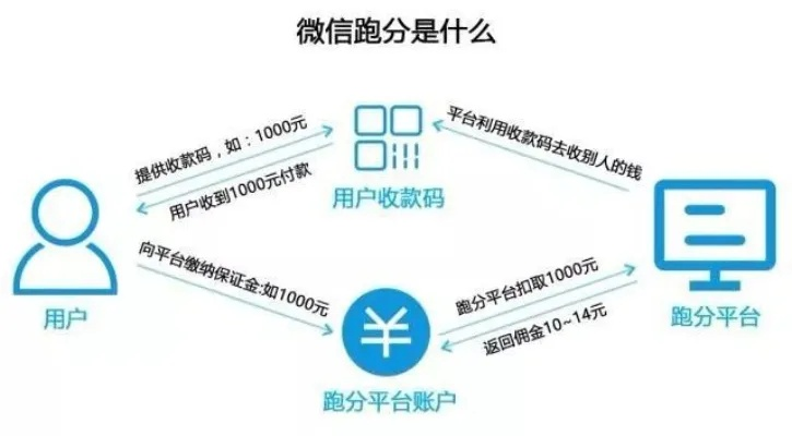 关于微信分付套出来的秘密，91微信分付使用指南与案例分析