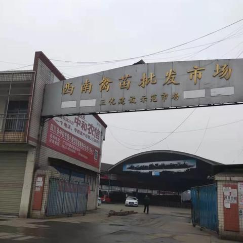 致富养什么最赚钱？深度解析养殖业新机遇