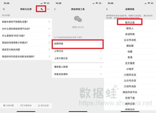如何找回已删除的微信聊天记录，实用指南与案例分享