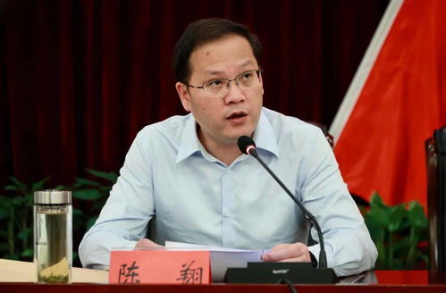 沈阳致富项目大解析，探寻财富之路