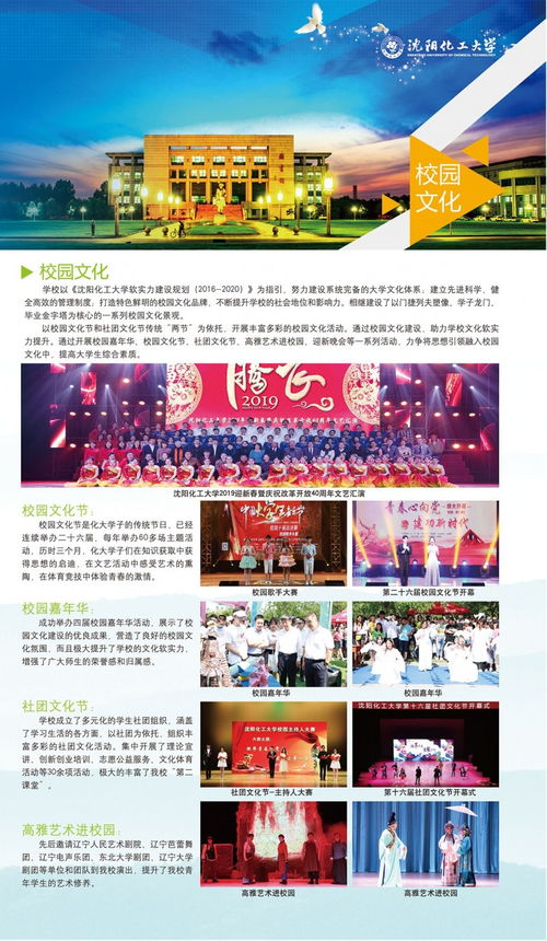 沈阳致富项目大解析，探寻财富之路