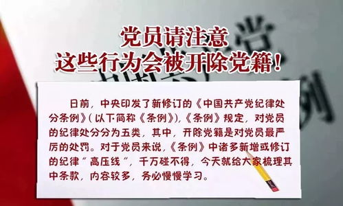 学徒可以从事哪些手艺活赚钱—全面解析与实例探究